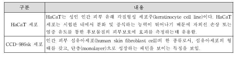 피부 건강 관련 시험물질 효과 평가에 사용되는 세포의 특징