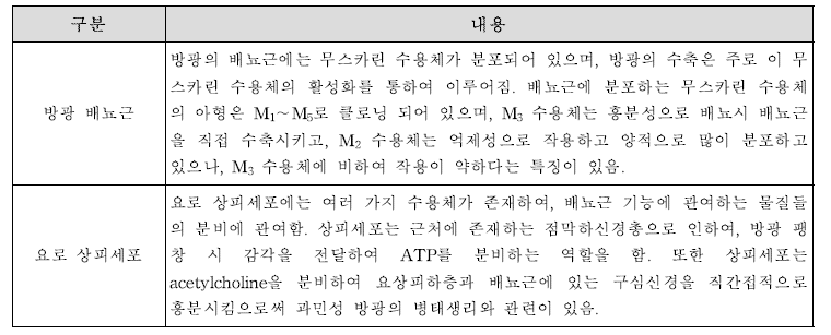 배뇨 기능 개선에서 시험물질 효능 평가에 사용되는 조직의 특징