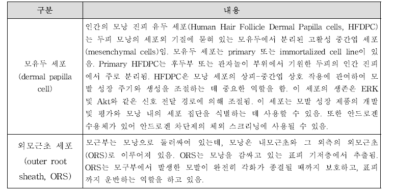 모발 건강 관련 시험물질 효과 평가에 사용되는 세포의 특징