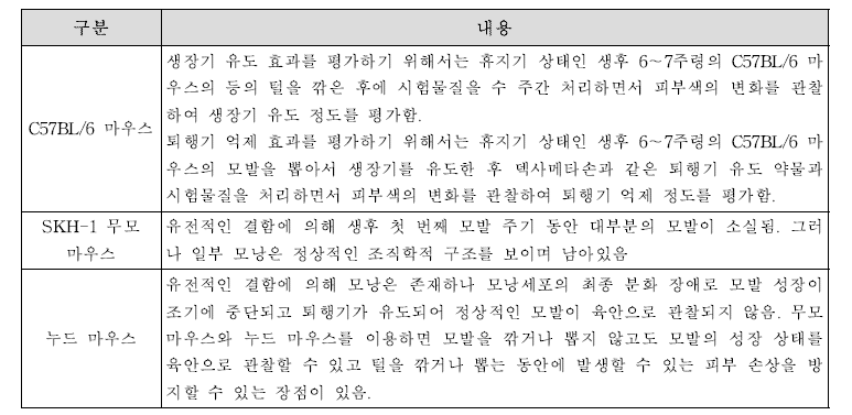 모발 건강 관련 시험물질 효과 평가에 사용되는 실험동물의 특징