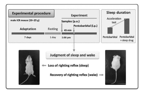 수면유도 동물모델의 예 출처: 식품과학과 산업 2013, 46(2):8-22.