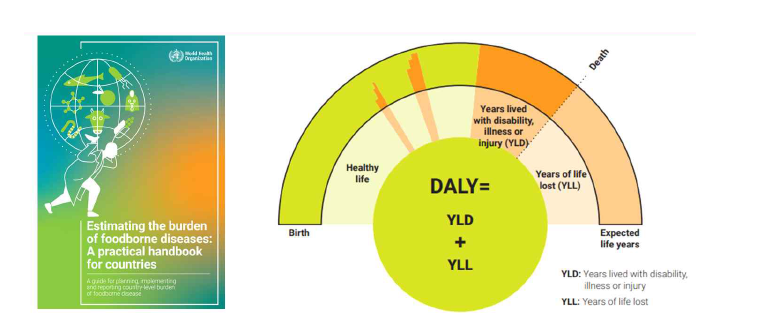 WHO의 식중독 발생에 의한 공중보건학적 및 사회적 손실 관련 보고 사례(Estimating the burden of foodborne diseases – WHO, 2021).