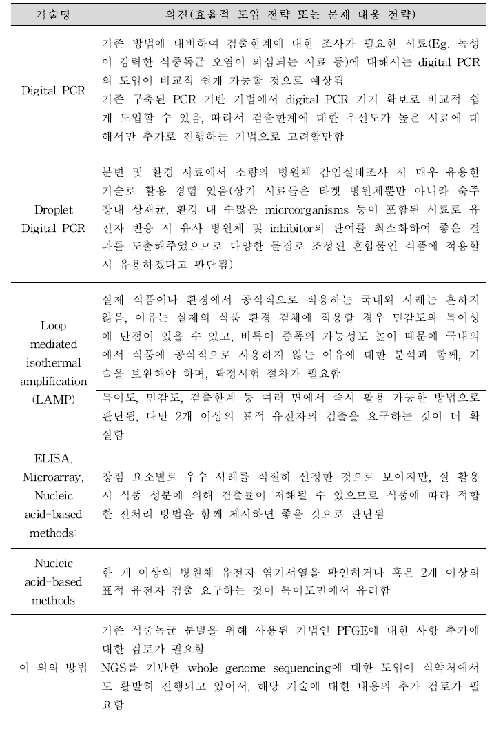 기술의 도입 전략 또는 실 활용 시 발생될 문제의 대응 전략에 대한 의견.