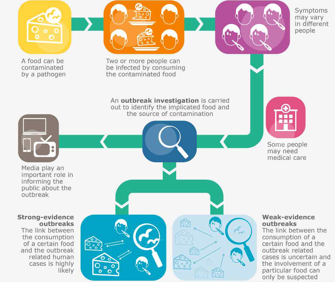 식중독 원인조사과정(EFSA)