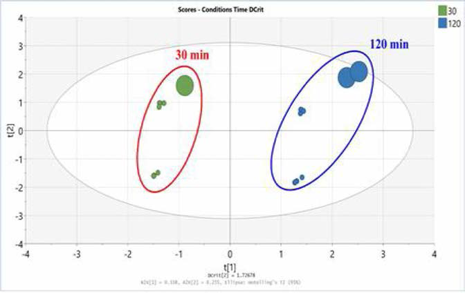 본 연구의 시간 - 온도 조건의 시간별 이행량 데이터를 이용한 PC A Score