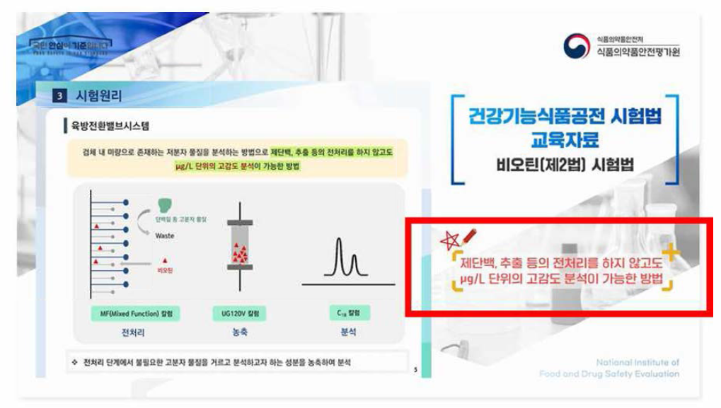 이론 동영상 그래픽 및 강조 자막 표시