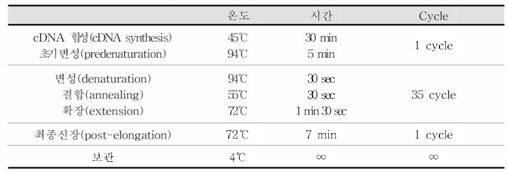 노로바이러스 One-step RT-PCR 반응조건 및 온도