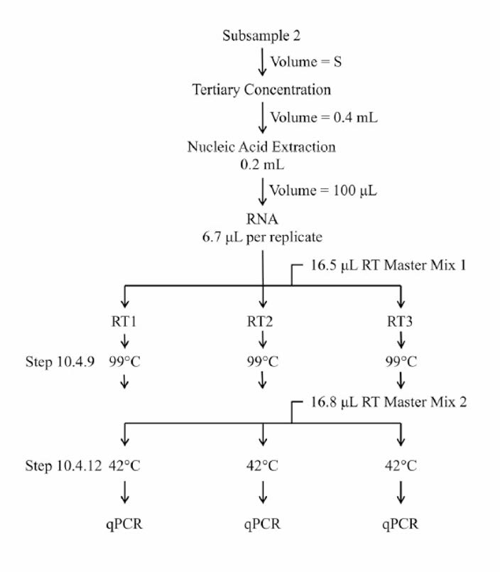 EPA 노로바이러스 RT-qPCR 검출법 모식도