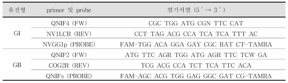 노로바이러스 RT-qPCR의 primer와 probe의 염기서열