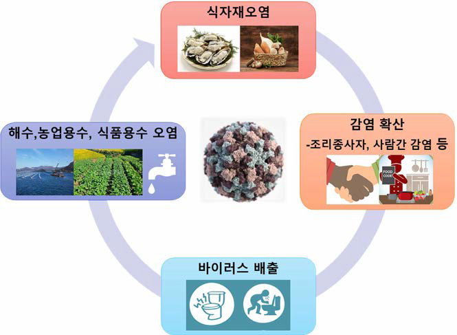 식중독바이러스 주요 오염경로