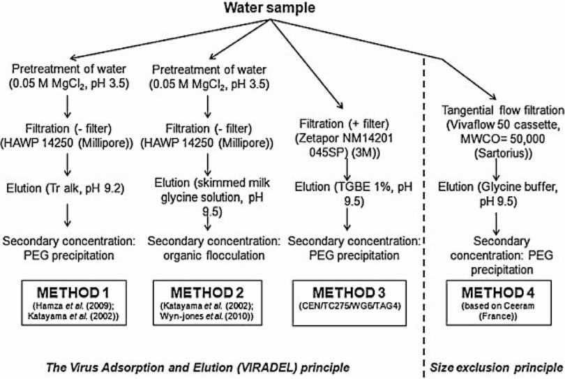 물에 존재하는 장관계 바이러스 검출법 개발 흐름도 (Cashdollar, et al., 2013)