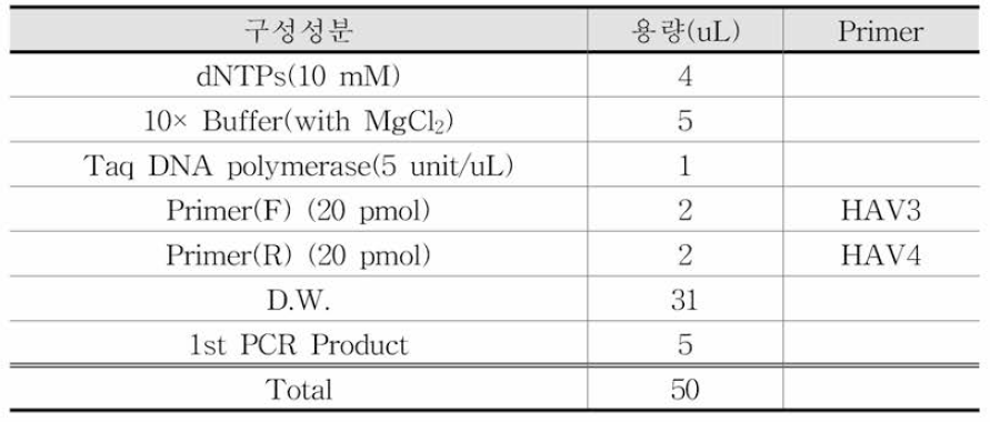 A형 간염바이러스 Nested PCR 조성