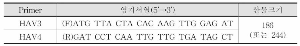 A형 간염바이러스 Nested PCR primer 염기서열