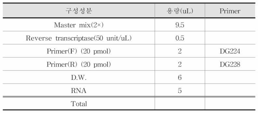 뮤린노로바이러스 RT-PCR 조성