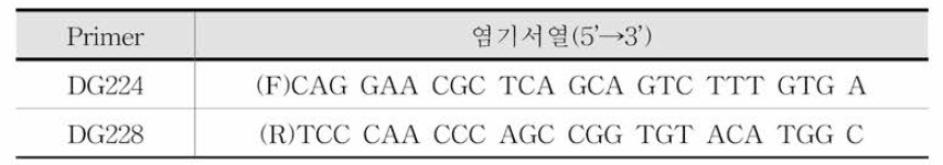 뮤린노로바이러스 RT-PCR primer 염기서열