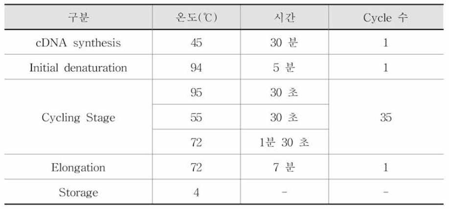 뮤린노로바이러스 RT-PCR 반응조건