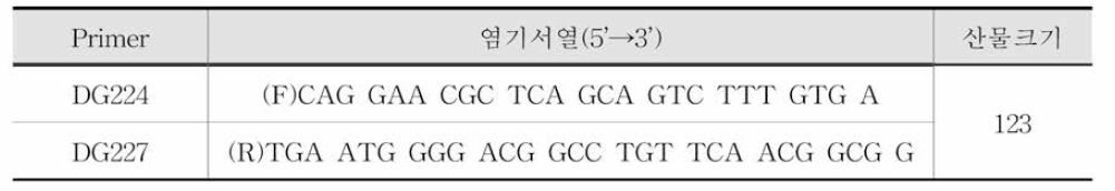 뮤린노로바이러스 Nested PCR primer 염기서열