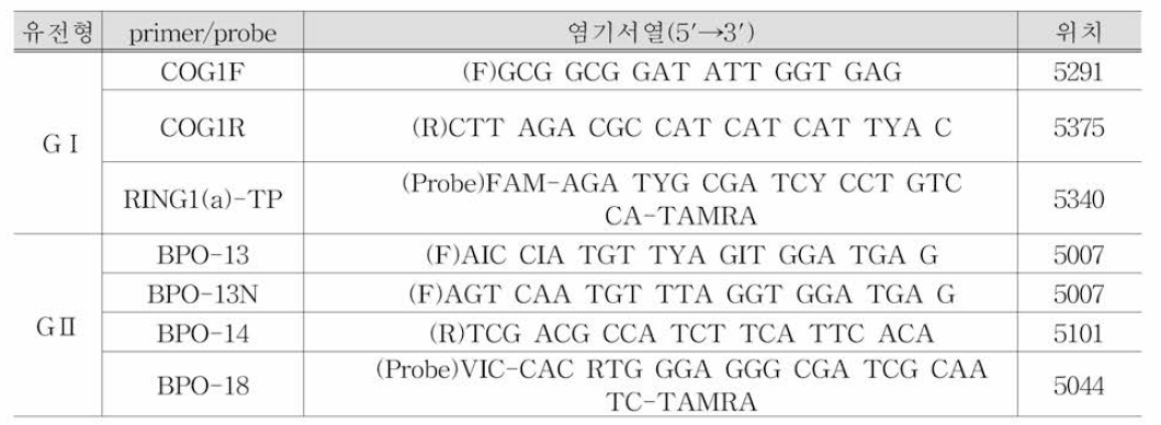 노로바이러스 양성대조군 RT-qPCR primer와 probe의 염기서열