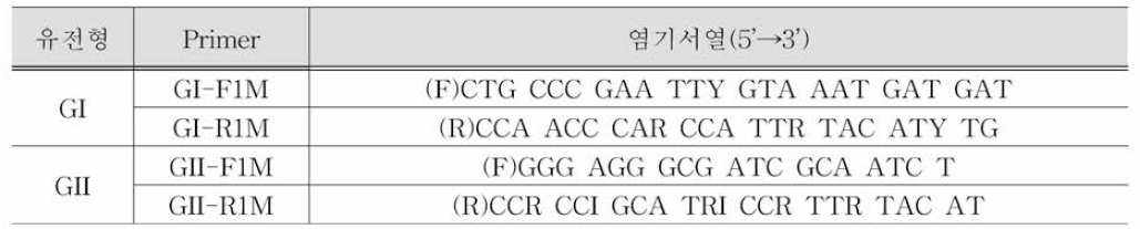 노로바이러스 양성대조군 RT-PCR primer 염기서열