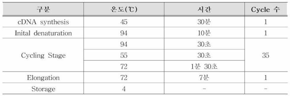 노로바이러스 양성대조군 One-Step RT-PCR 반응조건