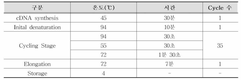 노로바이러스 양성대조군 Semi-nested RT-PCR 반응조건