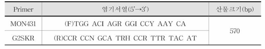 시험법 3의 RT-PCR primer 염기서열