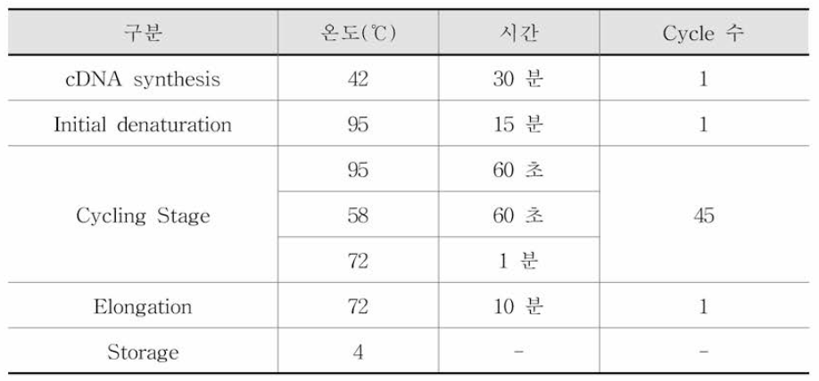 시험법 3의 RT-PCR 반응조건