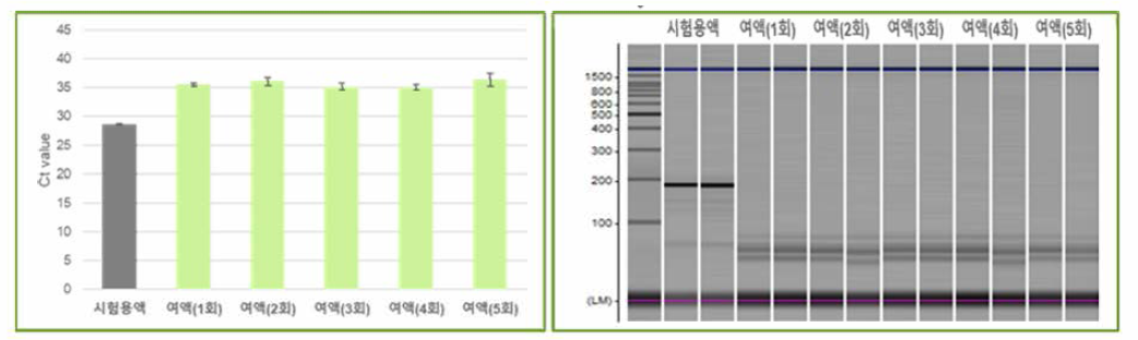 여액 흡착 횟수별 유전자 증폭 결과 (1) 5.34 x l08 copy/L 시험용액 RT-qPCR 결과 ⑵ 5.34 x l04 copy/L 시험용액 RT-PCR 결과