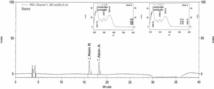 알로인 A 와 알로인 B 표준품 크로마토그램
