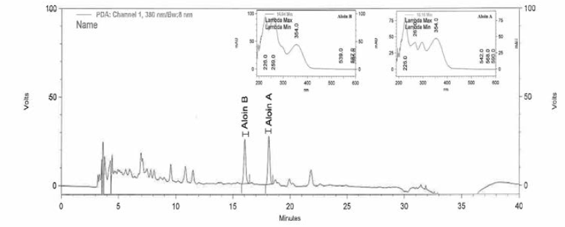 알로인 A 와 알로인 B 검체 크로마토그램