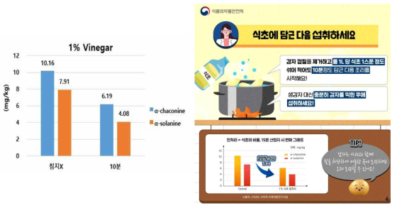 1% 식초에서 10분 침지했을 때의 당알칼로이드 함량