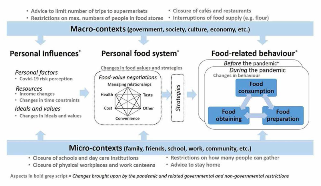 팬데믹 기간 중 식품 구입/소비 행태 변화와 관련된 잠정적 요인에 대한 개념적 틀(Janssen 등，2021)