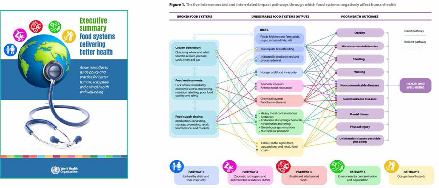 Food systems delivering better health (WHO, 2022)