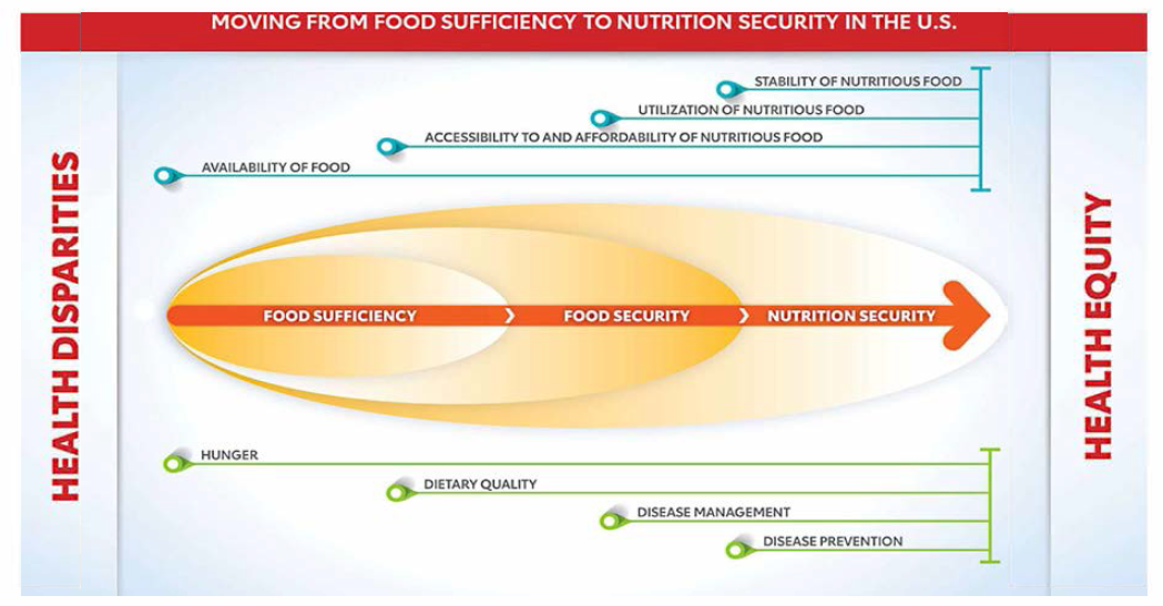 미국의 건강 형평성 달성을 위해 식품 충분성(food suffic iency)에서 영양안정성(nutrition