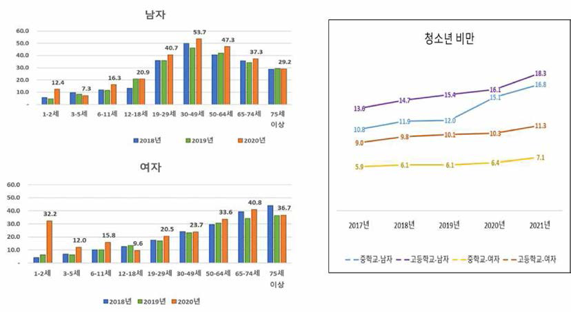 비만 유병률( 국민건강영양조사，청소년건강행태조사)