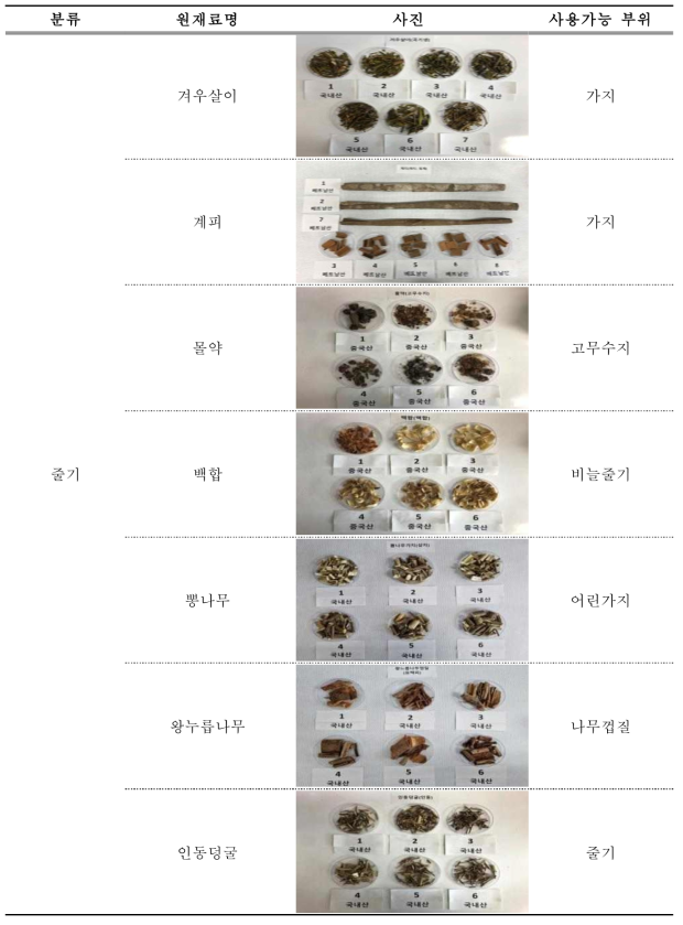 줄기 부위 품목별 사진