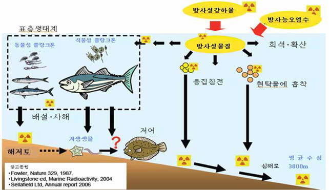 해 양에 서 방사성핵종의 이 동