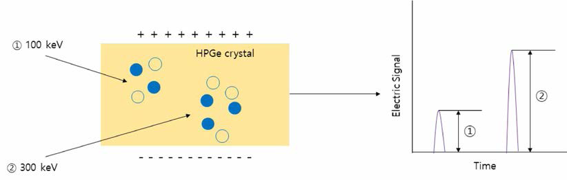 HPGe 검출기 원리