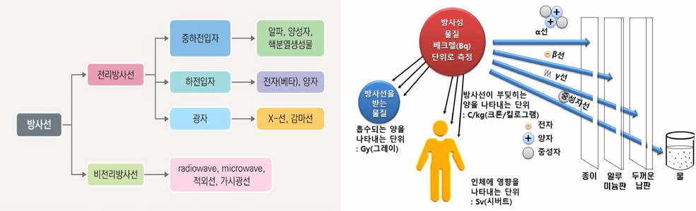 방사선의 종류와 투과력