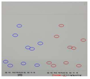개선 시험법으로 유지가 많은 시료(초콜릿) 적용 결과
