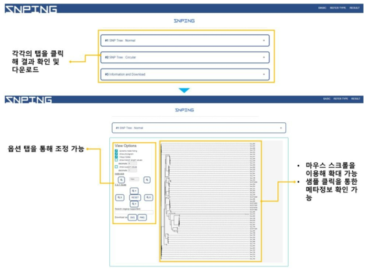 계통수 분석 프로그램 – 결과페이지