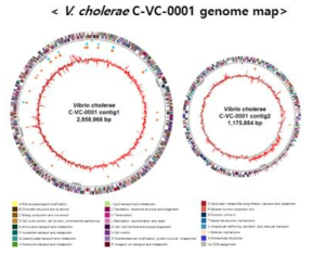 표준전장유전체 분석 genome map 예시