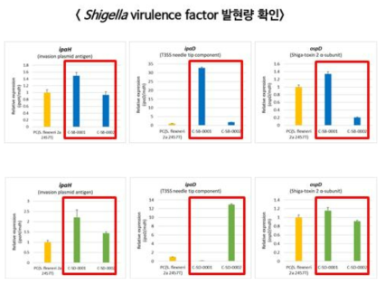 qRT-PCR 기반 S. boydii, S. dysenteriae 에서 유해인자 발현량 확인