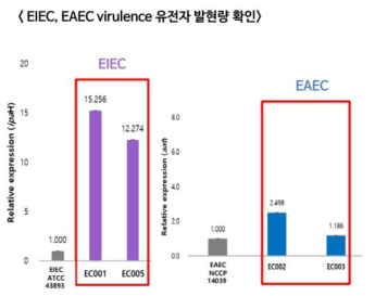 PCR 기반 EIEC, EAEC 에서 유해인자 발현량 확인