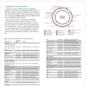 표준전장유전체 분석 report의 예시