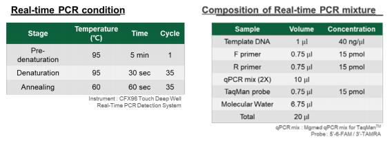 Real-Time PCR kit 반응 조건 및 반응액 조성