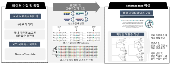 식중독균 전장유전체 비교 분석 방법 및 Refernce Tree 작성법 예시