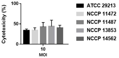 S. aureus 임상분리 균주의 cytotoxicity assay