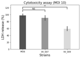 환경분리 V. vulinificus 균주의 cytotoxicity assay 결과