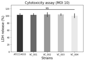 환경분리 V. cholerae 균주의 cytotoxicity assay 결과